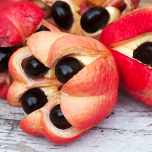 The World's 5 Most Poisonous Foods