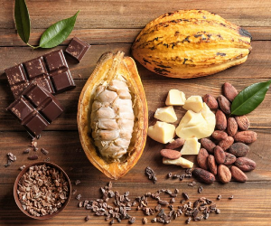 Delicious Facts About Chocolate (Part 1)