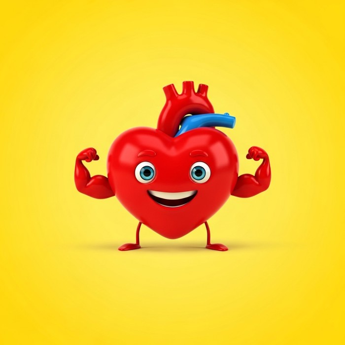 A cartoon heart flexing like a small strong muscle with tiny cartoon arms, cheerful diagram style, bright background.