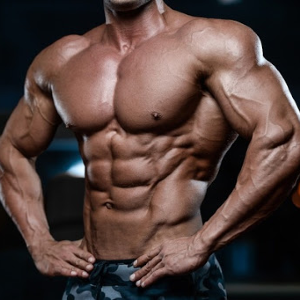 Muscle