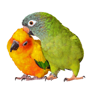 Breeding