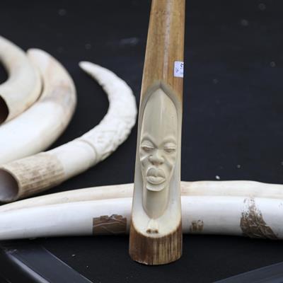 Ivory