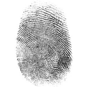 Fingerprint