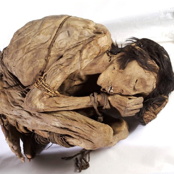 Mummified