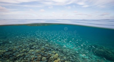 Waterline