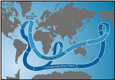 Thermohaline