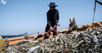 Overfishing
