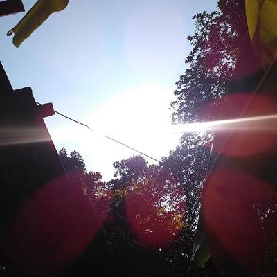 Noon