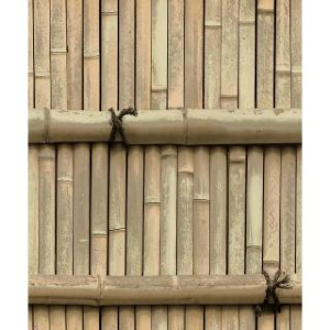 Bamboo strip