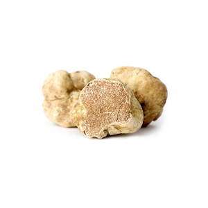 White truffle