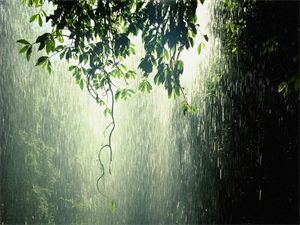 Rain