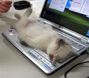 Relax