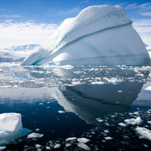 Polar