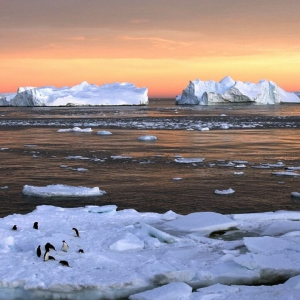 Polar ice caps