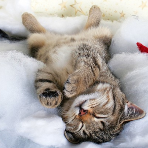 Sprawled out