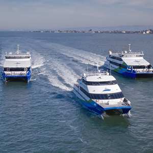 Fleet of ferries
